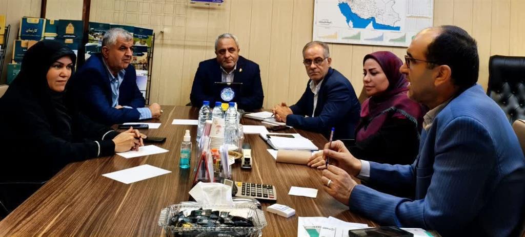 بررسی راهكارهای تقویت حمایت‌های قانونی و اجرایی از زنان تولیدكنندگان روستایی و عشایری
