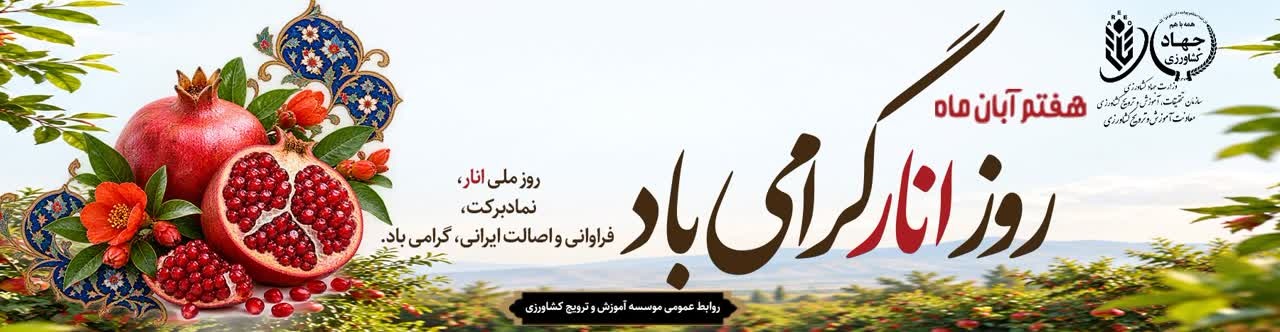 انار شیشه ای.png