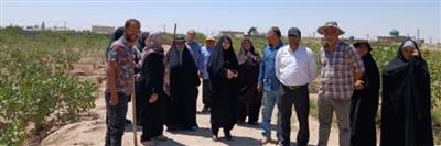 برگزاری دوره آموزشی مدیریت آفات پسته برای اعضای صندوق خرد زنان روستایی طاق