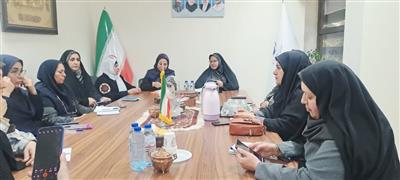 نشست هم‌اندیشی درخصوص هم افزایی ظرفیت‌های استان كرمان در توسعه كسب و كارهای خرد زنان روستایی و عشایری