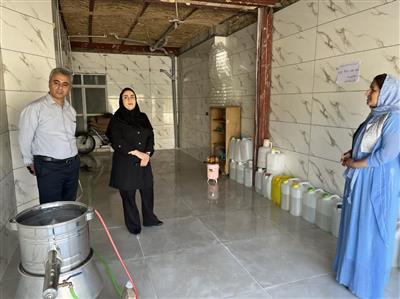 بررسی وضعیت صندوق های خرد زنان روستایی نوره استان كردستان