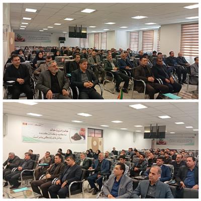 حراست دیجیتال؛ سایبری امن، سازمان ایمن