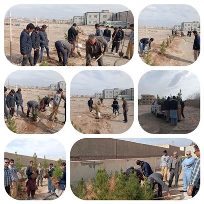 آغاز پروژه فضای سبز و نهالكاری